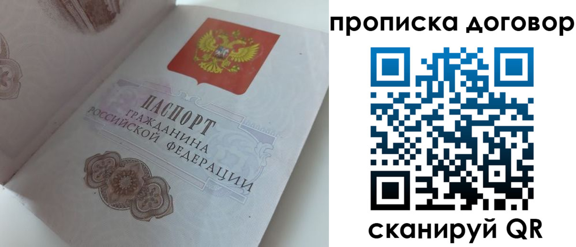 прописка поиск в Липецкая области